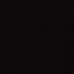 Meet your Posher, Mia